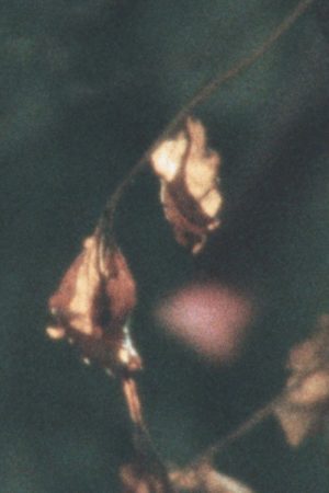 breathing exercises (2021) poster