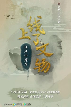上线了文物 (2020) poster