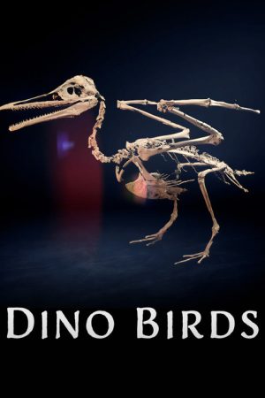 Dino Birds (2025) poster