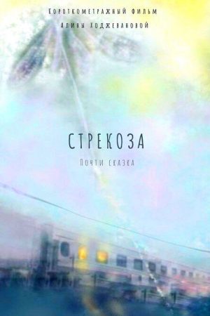 Стрекоза (2026) poster