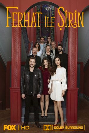 Ferhat ile Şirin (2019) poster