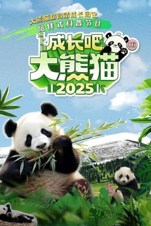 成长吧！大熊猫2025 (2025) poster
