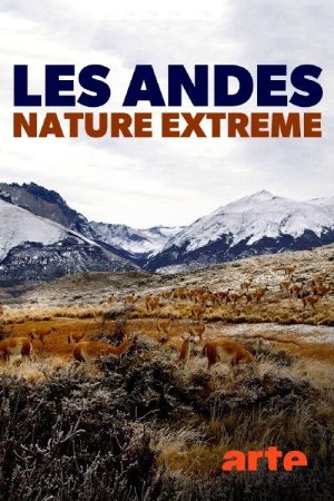Die Anden – Natur am Limit (2018) poster