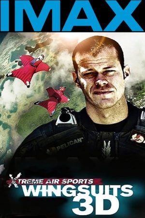 Wingsuit Warrior (2013) poster