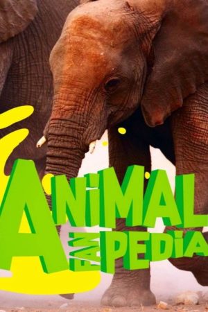 Animal Fanpedia (2026) poster