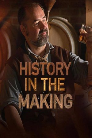 History in the Making (2018) poster