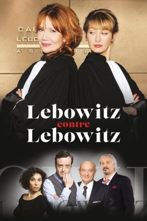 Lebowitz vs Lebowitz (2016) poster