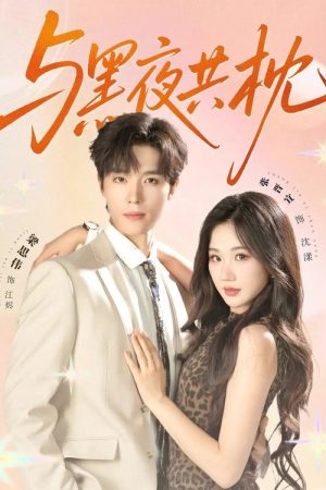 与黑夜共枕 (2025) poster