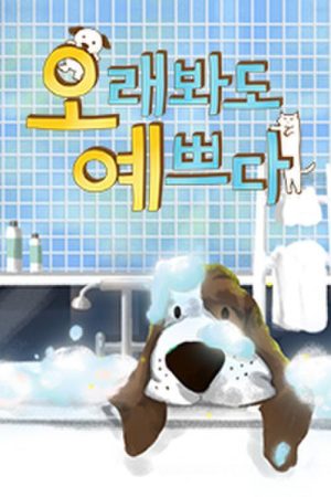 오래봐도 예쁘다 (2019) poster