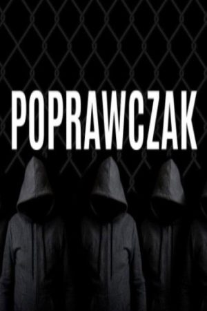 Poprawczak (2021) poster