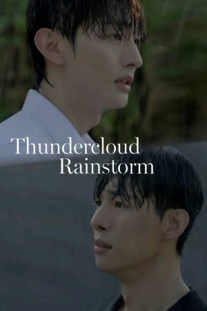 Thundercloud Rainstorm (2025) poster
