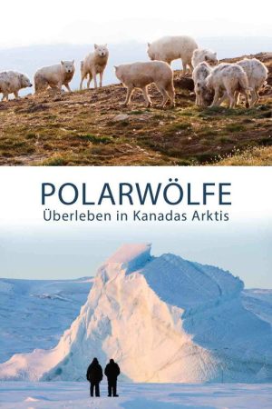 Polarwölfe – Überleben in Kanadas Arktis (2018) poster