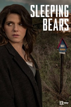 Sleeping Bears (2018) poster