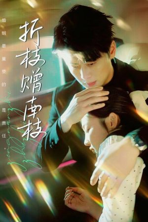折枝赠南枝 (2025) poster