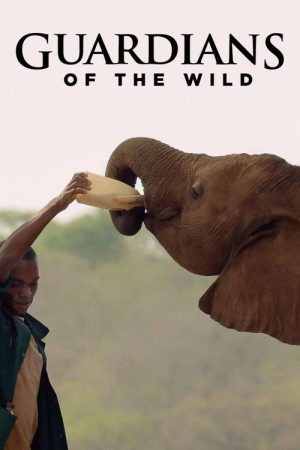 Guardians of the Wild (2016) poster