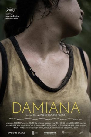 Damiana (2017) poster