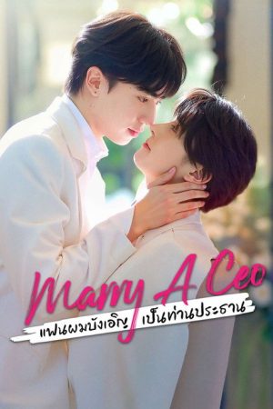 Marry a CEO (2025) poster