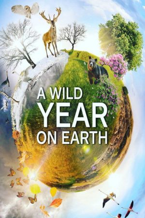 A Wild Year On Earth (2020) poster