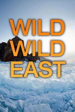 Wild Wild East (2016) poster