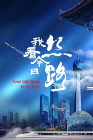 我看今日丝路 (2019) poster