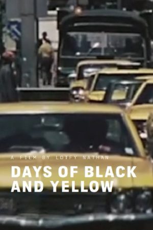 Days of Black and Yellow (2019) poster