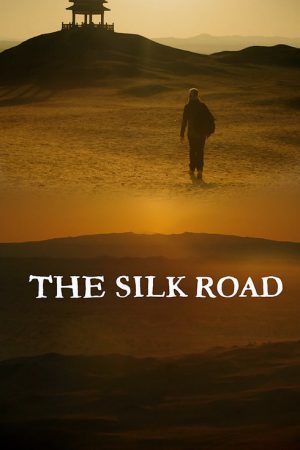 The Silk Road (2016) poster