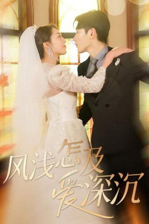 风浅怎及爱深沉 (2025) poster