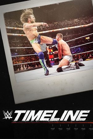 WWE Timeline (2020) poster