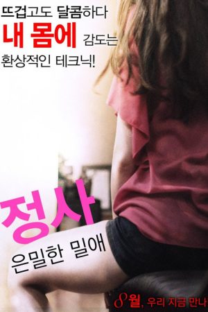 Love Affair: A Secret Affair (2016) poster