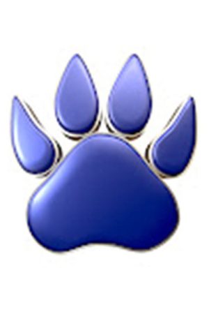 Blue Paw Print (2023) poster
