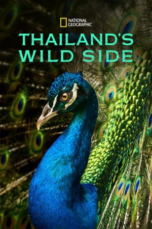 Thailand’s Wild Side (2020) poster