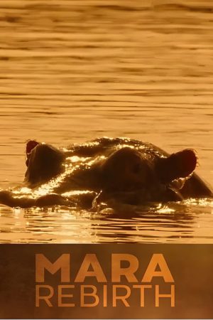 Mara: Rebirth (2025) poster