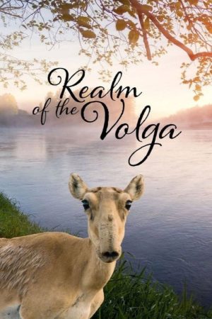 Realm of the Volga (2019) poster