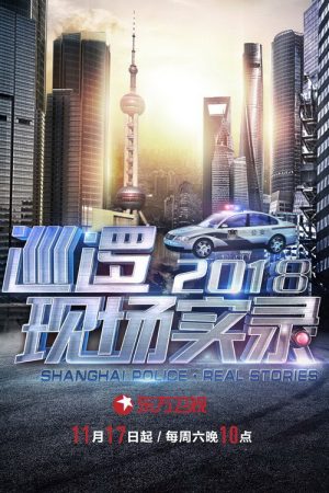 Shanghai Police Real Stories (2017) poster