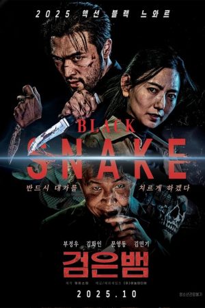Black Snake (2025) poster