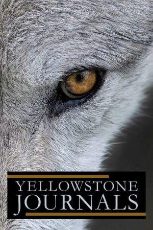 Yellowstone Journals (2019) poster