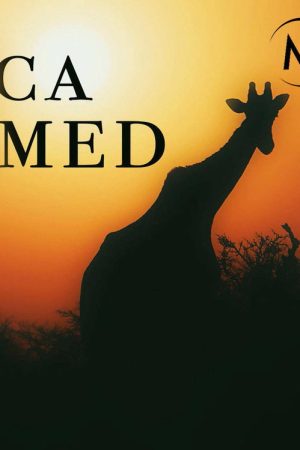 Africa Untamed (2018) poster
