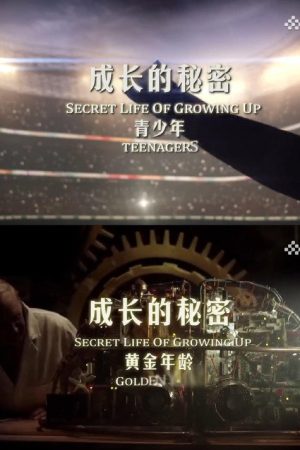 Secret life of growing up (2016) poster