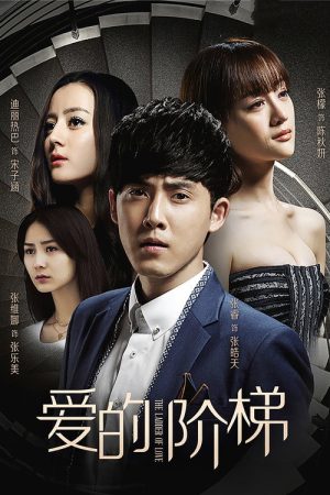 The Ladder of Love (2016) poster