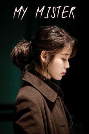 My Mister (2018) poster