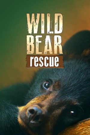 Wild Bear Rescue (2017) poster