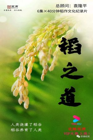 稻之道 (2016) poster