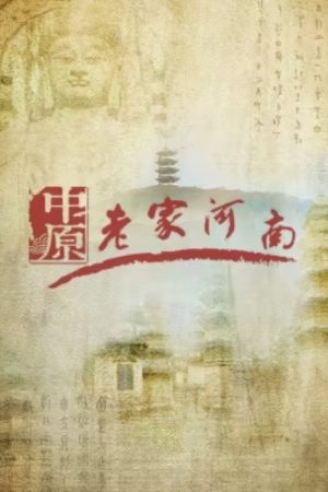 老家河南 (2016) poster