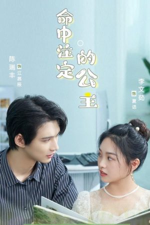 The Princess of Destiny (2023) poster