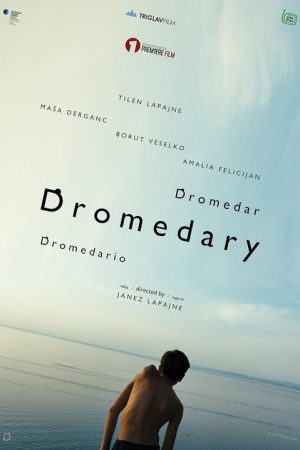 Dromedary (2019) poster