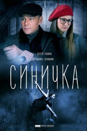 Синичка (2018) poster