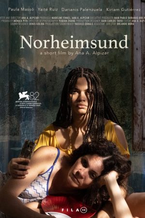 Norheimsund (2025) poster