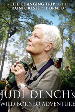 Judi Dench’s Wild Borneo Adventure (2019) poster
