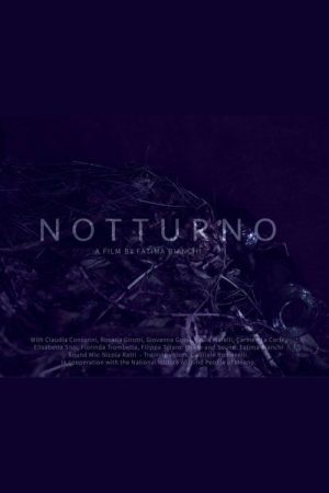 Notturno (2016) poster