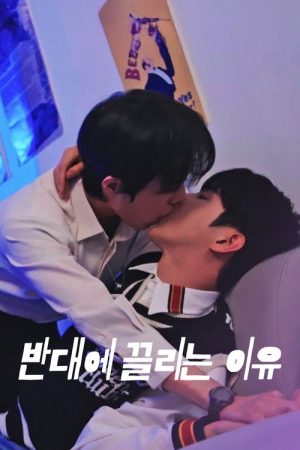 Opposites Attract (2026) poster